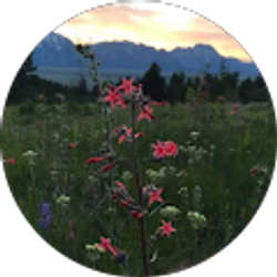 Profile photo of Donna Weaver