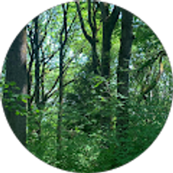 Profile photo of Nadia Lane