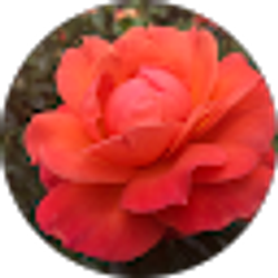 Profile photo of Randy Engle