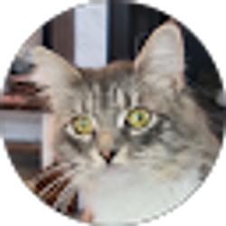 Profile photo of Robin Penny