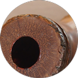 Profile photo of Patrick Johnson