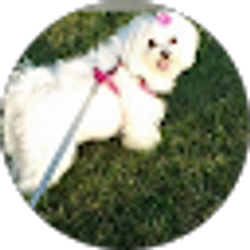 Profile photo of ellling