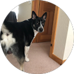 Profile photo of Clinton Vitorelo