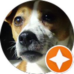 Profile photo of Lee Nawrocki