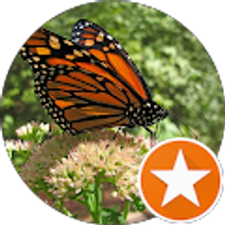 Profile photo of kye