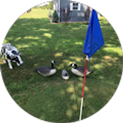 Profile photo of Allan Richard Hach