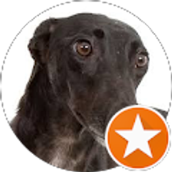 Profile photo of Phig