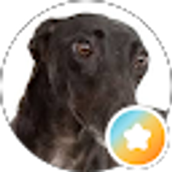 Profile photo of Phig