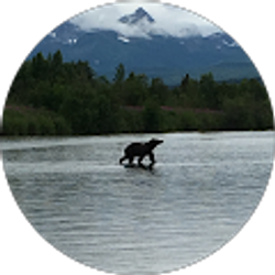 Profile photo of Jake Maddox