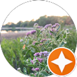 Profile photo of AlreadyNotYet