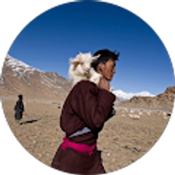 Profile photo of True North