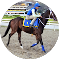 Profile photo of Samuel Marin