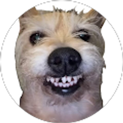 Profile photo of Axel Pastran