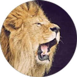 Profile photo of Mr. James