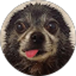 Profile photo of BL