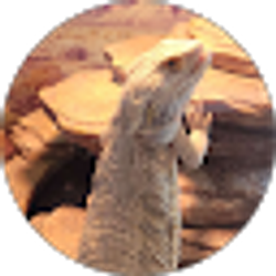 Profile photo of Tina