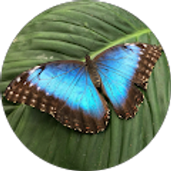 Profile photo of Lynn Garrett