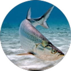 Profile photo of Mario Aletto