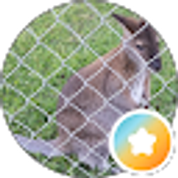 Profile photo of Friedman Zoo