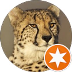 Profile photo of Liz Cornish