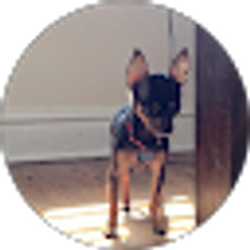 Profile photo of Meri Taylor