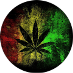 Profile photo of Sondro Yousif