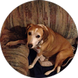 Profile photo of Tony Garcia