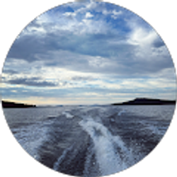 Profile photo of Jeff Applebee