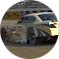 Profile photo of Team SER