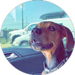 Profile photo of Soleil Landreth