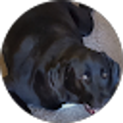 Profile photo of Amy Hawley