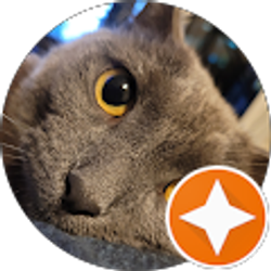 Profile photo of Chase Reisinger