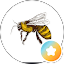 Profile photo of Jonathan Worral