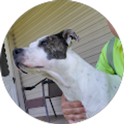 Profile photo of MAZE CONTROL