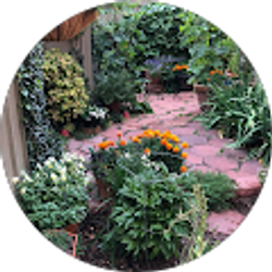 Profile photo of Joan Kahn