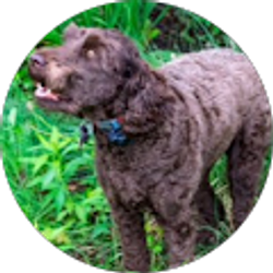 Profile photo of Sunil James