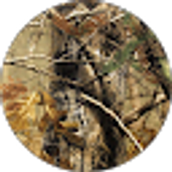 Profile photo of Josh Pfeffer