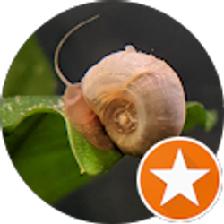 Profile photo of Its5helby