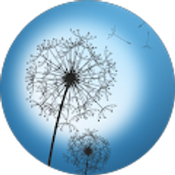 Profile photo of Ali Miller