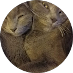 Profile photo of Bonnie Manko