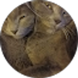 Profile photo of Bonnie Manko