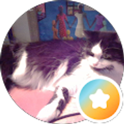 Profile photo of Nancy Prusak