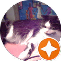 Profile photo of Nancy Prusak