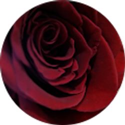 Profile photo of Jammin' Locs