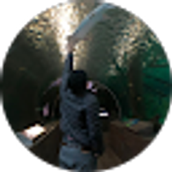 Profile photo of Herman A