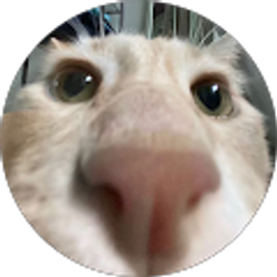 Profile photo of Eddy Lin