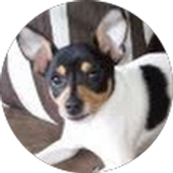 Profile photo of Andrew VanderLinden