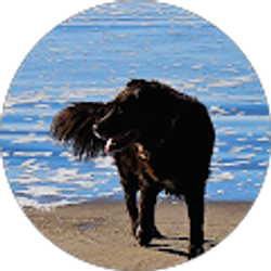 Profile photo of Micha Pantle