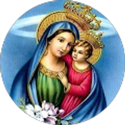 Profile photo of ashraf roufail