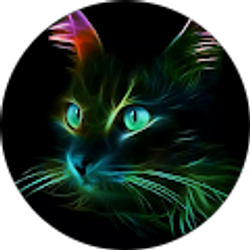 Profile photo of Selena Kyle